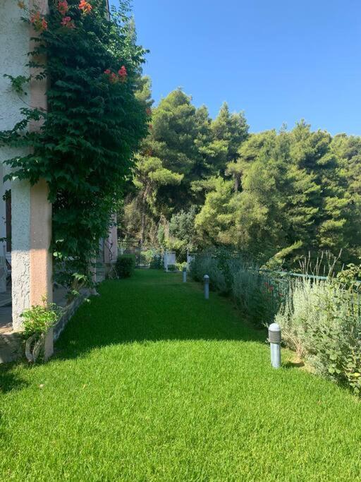 Amfiteatrico Sea View - Kalamos Attiki Apartamento Markopoulon Oropou Exterior foto